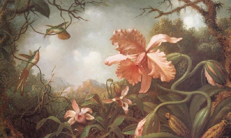 Martin Johnson Heade The Hummingbirds and Two Varieties of Orchids